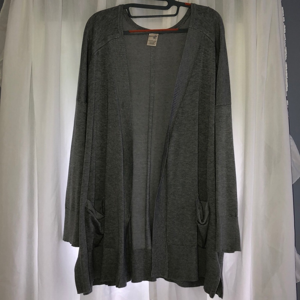 Terra & Sky 2X cardigan tunic sweater